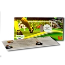WM Fußball Mailing Fensterkarte