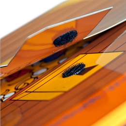 Schatztruhen-Mappe mit Froschtasche