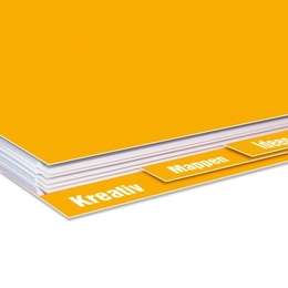 Register 4-fach Prozessbeschreibung
