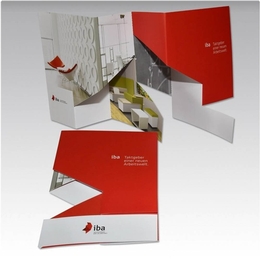 Imagefolder IBA - Drucksachen in Mainz bei Druckerei Lindner drucken lassen 