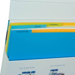 Fächerbox mit Registermappen 04-fach