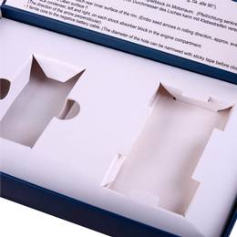 Klappdeckelschachtel mit Inlayfach