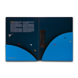 Präsentationsmappe mit Konturstanzung