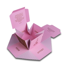 Klappdeckelschachtel Weihnachtsverpackung