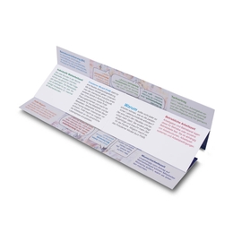 Endlosfaltkarte BASF