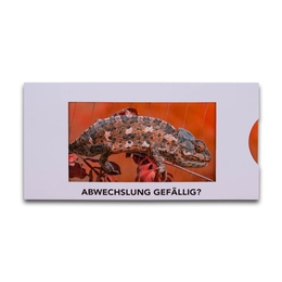 Mailing-Bildwechselkarte - Druckerei Lindner steht für: Kreative Drucksachen drucken, 3D -Pop-ups drucken,  Effektkarten drucken, Magic-Flyer drucken,Aufsteller drucken