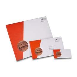 Direct-Mailing-Springquader