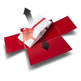 Print-Mailing Springwürfel