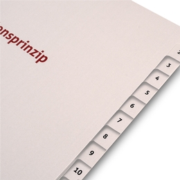 Register 12-fach A4 quer Feedstar Präsentationen