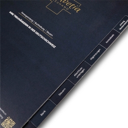 Register 08-fach Firmengründung