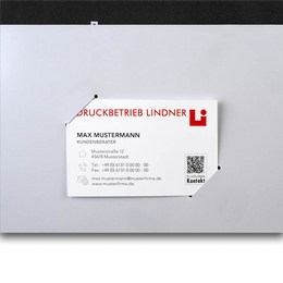 Gesundheitsmappe Diagnosticum