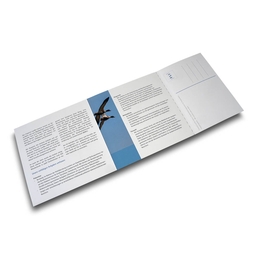 Prospekt Forschung Gesundheit Tier und Mensch