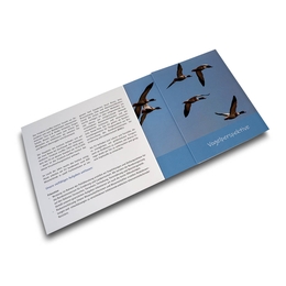 Prospekt Forschung Gesundheit Tier und Mensch