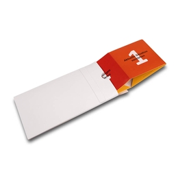 Direct Mailing Coaching Springwürfel