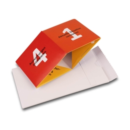 Direct Mailing Coaching Springwürfel