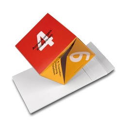 Direct Mailing Coaching Springwürfel