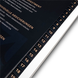 Register 20-fach Vermögen