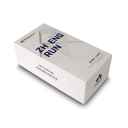 Box Deckel und Boden