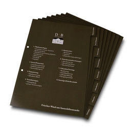 Register 08-fach DB Immobilien