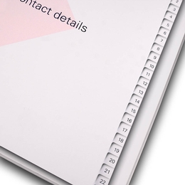 Register 23-fach A4 proDERM