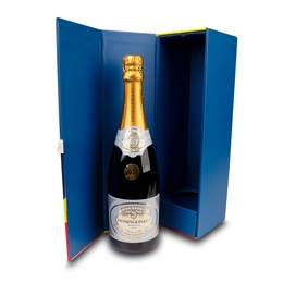 Präsentationsbox für Champagner - Druckerei Lindner steht für: Ordner drucken, Ringordner drucken, Ringbücher drucken, Firmenordner drucken