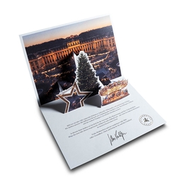 Weihnachtsgrüße Schloß Schönbrunn - Drucksachen in Mainz bei Druckerei Lindner drucken lassen 