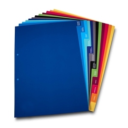 Register 12-fach Betriebliche Altersvorsorge - Drucksachen in Mainz bei Druckerei Lindner drucken lassen 