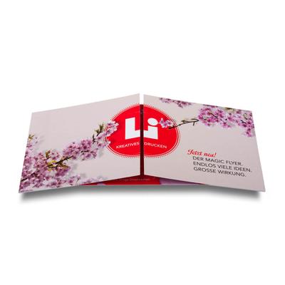 Endlosfaltkarte als Kundenmailing - Druckerei Lindner - Ihr Hersteller für Effektkarten, Präsentationsboxen und Mailings