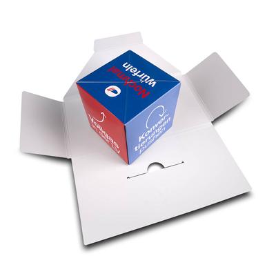Mailing Springwürfel L DIN Versicherung